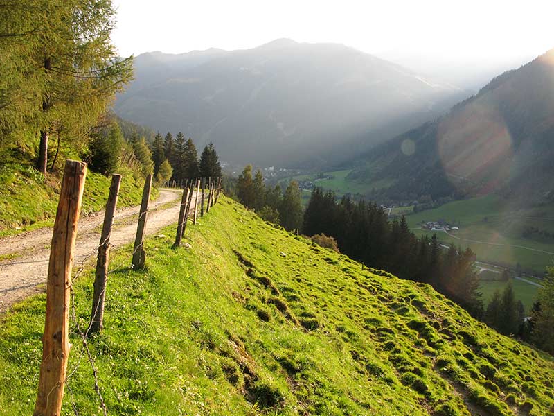 schoberspitze